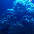IMG 20110109 195528