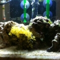 Front view of tank