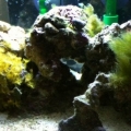 corner view of tank