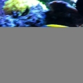 photo (4)