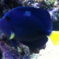photo (6)