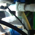 Fuge/frag-rack gravity feeds into sump.  
On reverse lighting schedule.