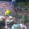Feeding time!