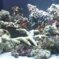 The full tank