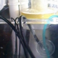 newskimmer/ swc 120 cone/ first day