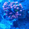 IMAG0161