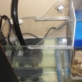 Wet/dry turned into a Sump