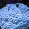 IMG 4522