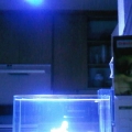 fullshot ecoxoticpar38 no flash
