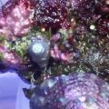 IMG00652 20110528 2048