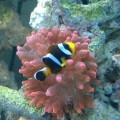 IMAG0162