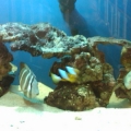 IMG00314 20110226 1534