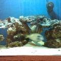 IMG00320 20110226 1536