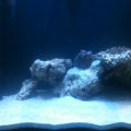 First Aquascape!!!!!!!!