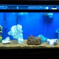 The old 55 gallon...Simple seaclone 100, hang on back filter and t-5 light