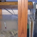 Fuge' when it was first set up, I scrapped the ehiem internal filter for a UV unit that is working well!