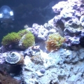 side veiw of the jbj nano cube led 28 gallon