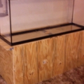 Just put on stand to see how it looked