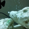 IMG 20111011 142803