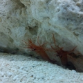 IMG 20111011 142812
