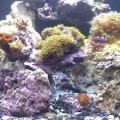 front..10/18/11
