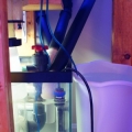 drain outlet and ATO bucket