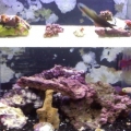 first frags in new frag system