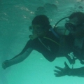 dive