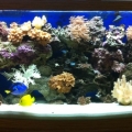 photo(1)