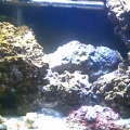 ugh little washed out.  As of feb 2012