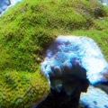 2012 03 06 22 31 06 872