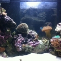 photo(5)