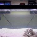 added water