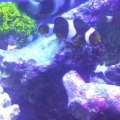 CIMG0379