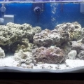 Done with the rock thing, let the waiting begin.