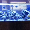 FTS