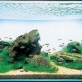 adatank18