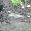 20120602 130516