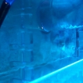 2012 07 08 17.59.17