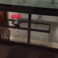 sump with skimmer