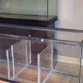 Sump/refugium