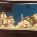 Day 2 of cycle (sand is mostly settled)