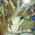 2012 09 29 10 42 20 323