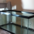 40b Refugium