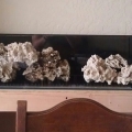 Rockscape idea