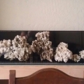 Second rockscape idea