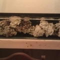 Dry rock curing