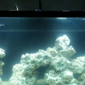 IMG 3240[1]