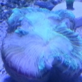 20121107 220420