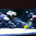 Tank 1